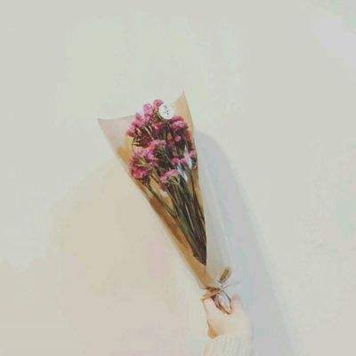 小师妹破解版下载